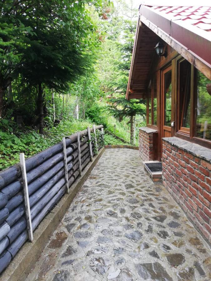 La Gabi Azuga Exterior foto